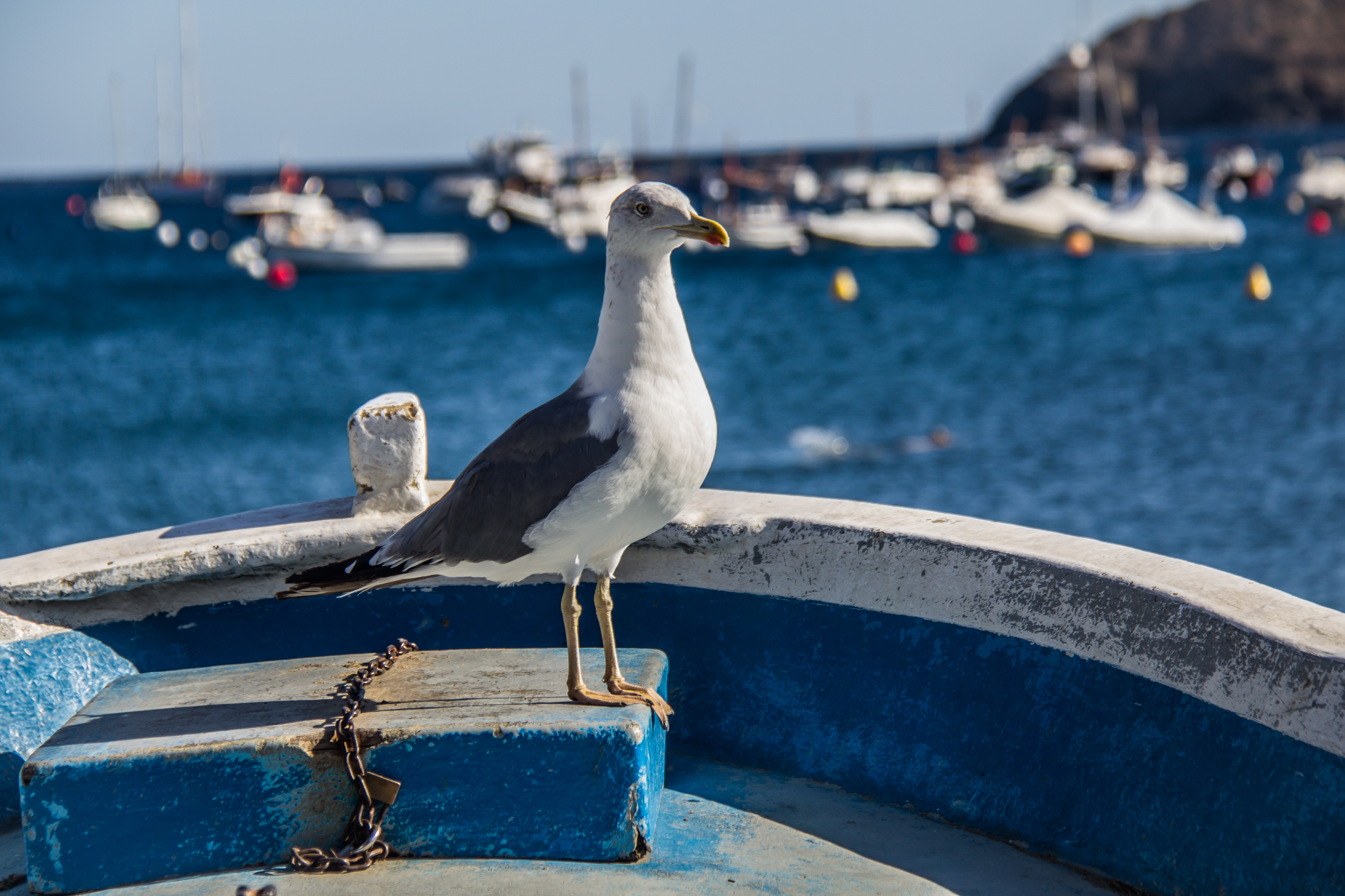Què fer aquest cap de setmana?