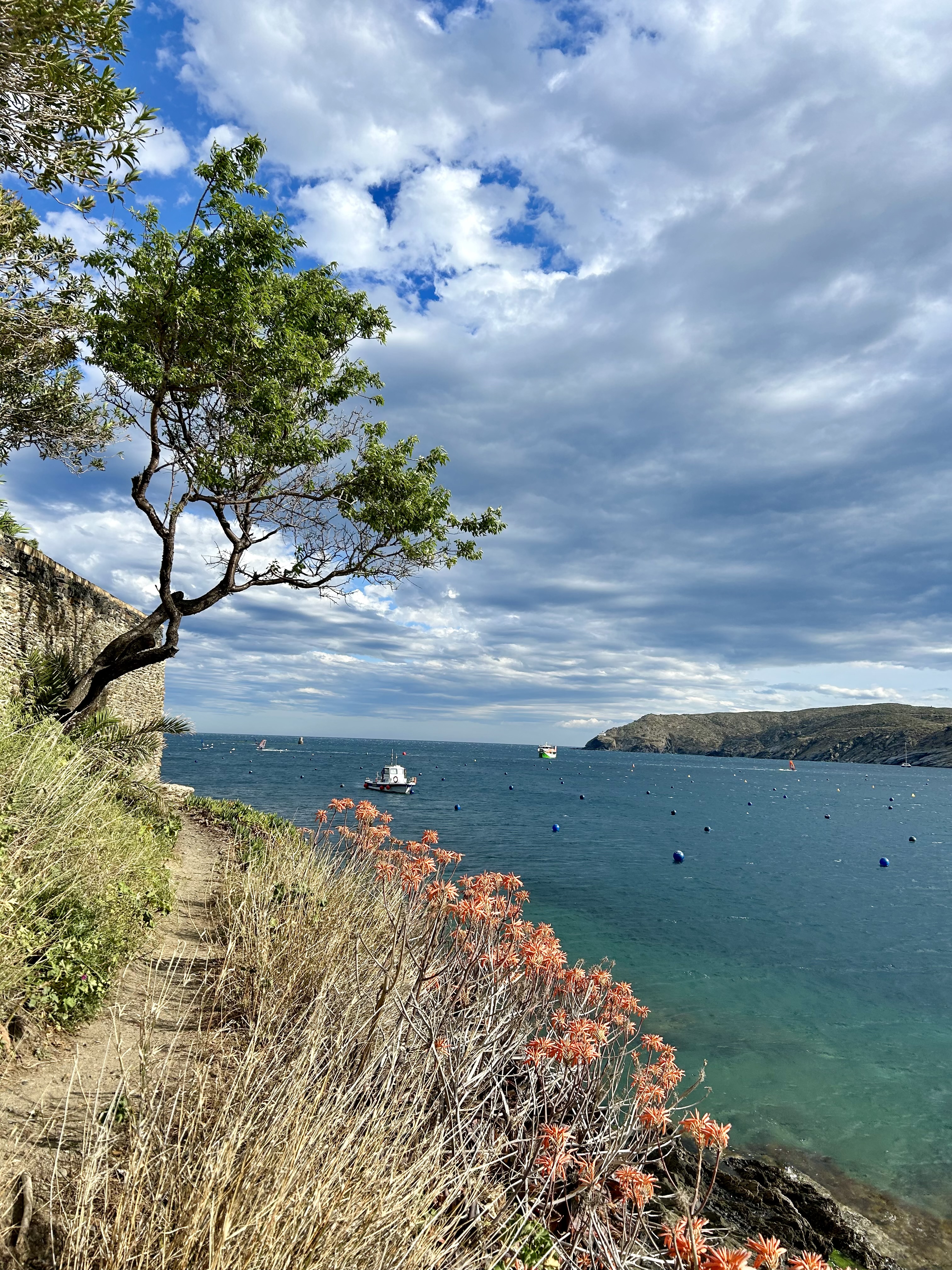 GUIA DE PLATGES I CALES